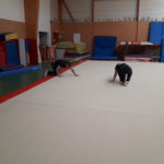moquette gymnova